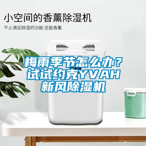 梅雨季節(jié)怎么辦？試試約克YVAH新風(fēng)除濕機