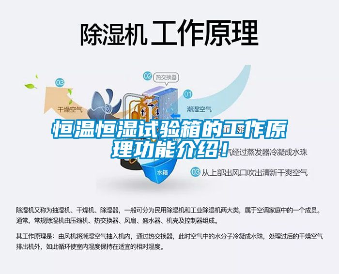 恒溫恒濕試驗(yàn)箱的工作原理功能介紹！