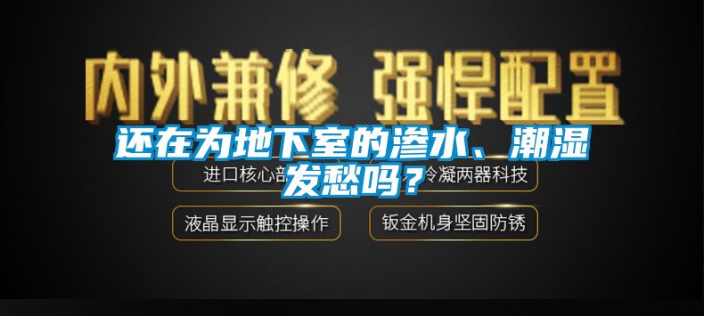 還在為地下室的滲水、潮濕發(fā)愁嗎？