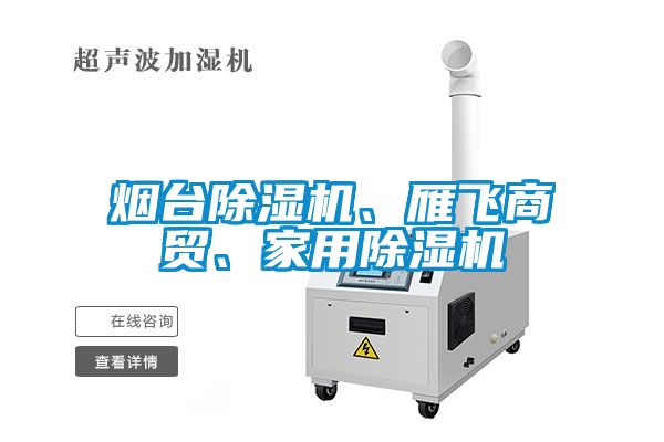 煙臺除濕機(jī)、雁飛商貿(mào)、家用除濕機(jī)