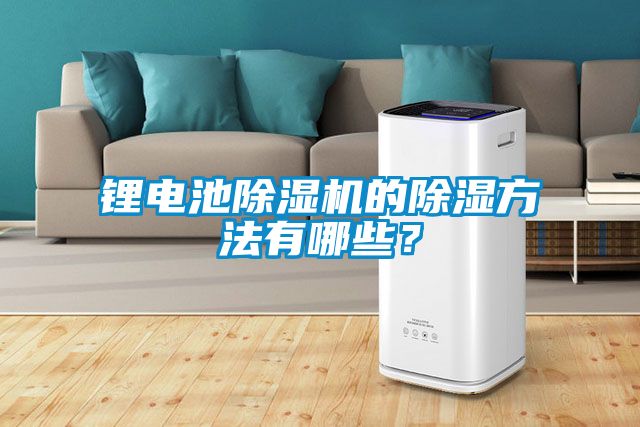 鋰電池除濕機的除濕方法有哪些？