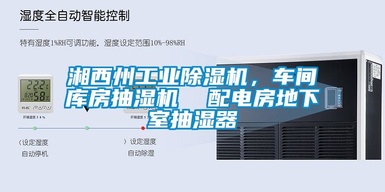 湘西州工業(yè)除濕機，車間庫房抽濕機  配電房地下室抽濕器