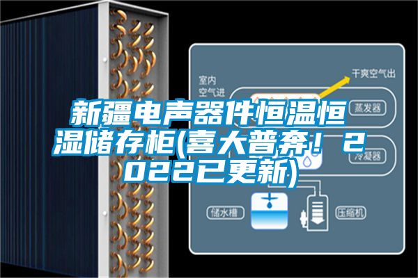 新疆電聲器件恒溫恒濕儲(chǔ)存柜(喜大普奔！2022已更新)