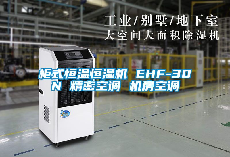 柜式恒溫恒濕機 EHF-30N 精密空調(diào) 機房空調(diào)