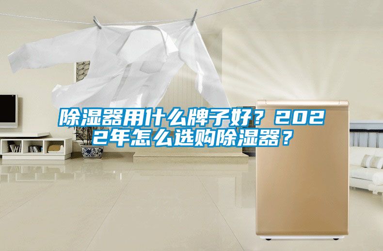 除濕器用什么牌子好？2022年怎么選購除濕器？