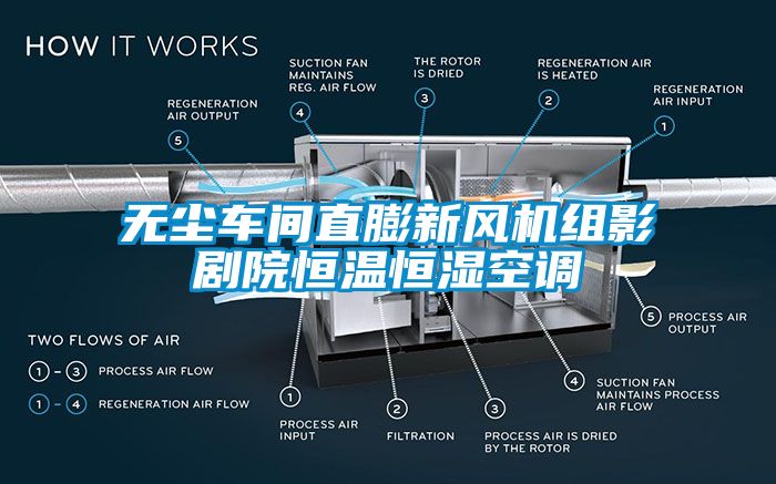 無塵車間直膨新風機組影劇院恒溫恒濕空調(diào)