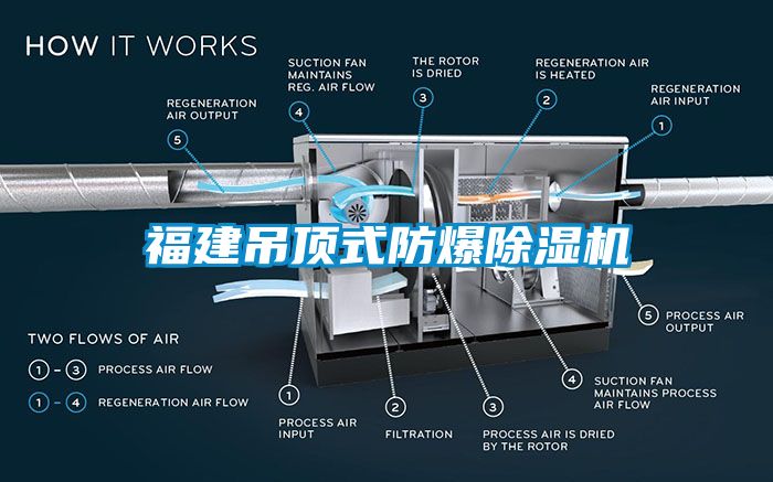 福建吊頂式防爆除濕機(jī)