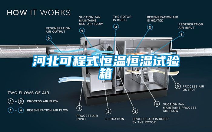 河北可程式恒溫恒濕試驗箱