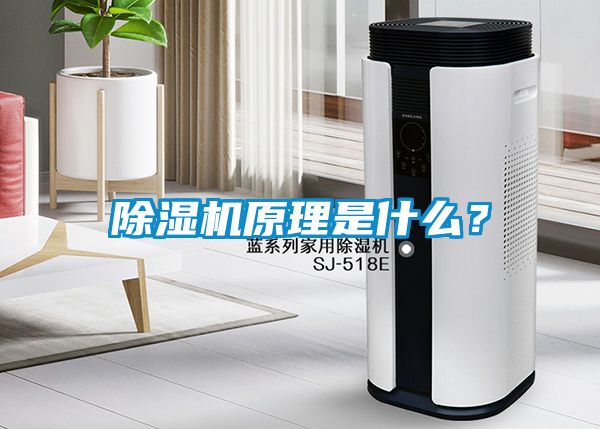 除濕機(jī)原理是什么？