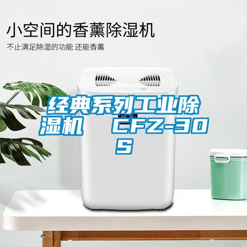 經(jīng)典系列工業(yè)除濕機(jī)  CFZ-30S