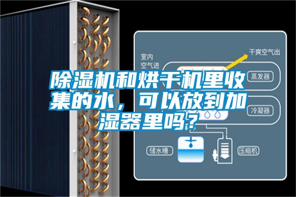 除濕機和烘干機里收集的水，可以放到加濕器里嗎？