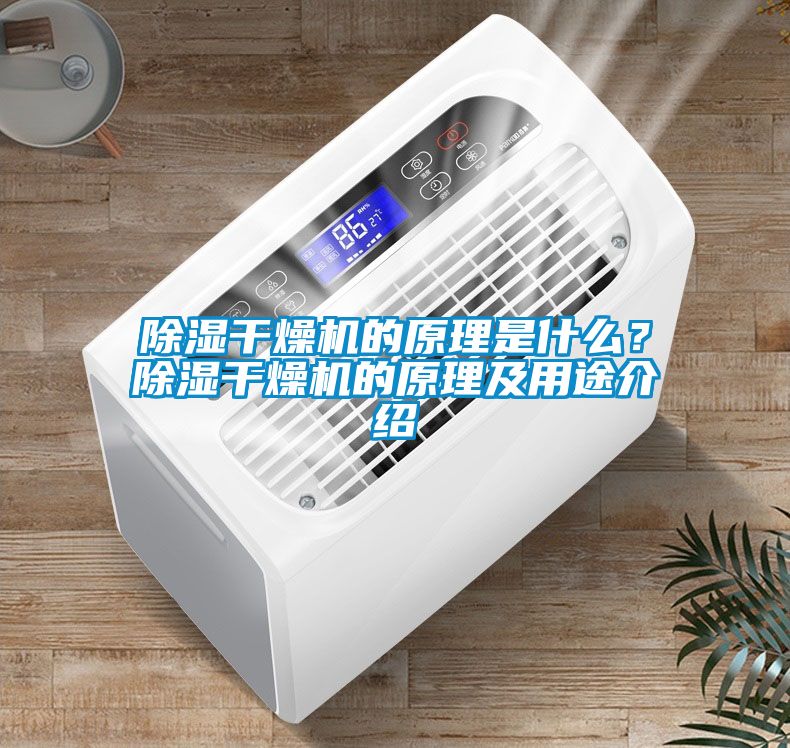 除濕干燥機的原理是什么？除濕干燥機的原理及用途介紹