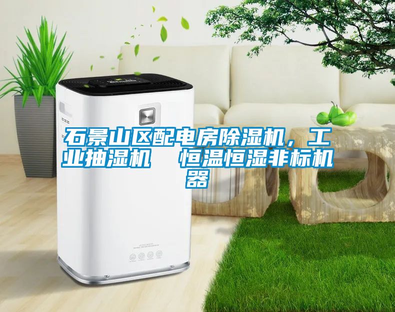 石景山區(qū)配電房除濕機，工業(yè)抽濕機  恒溫恒濕非標機器