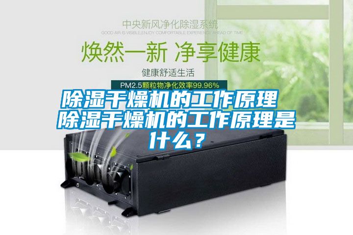 除濕干燥機(jī)的工作原理 除濕干燥機(jī)的工作原理是什么？