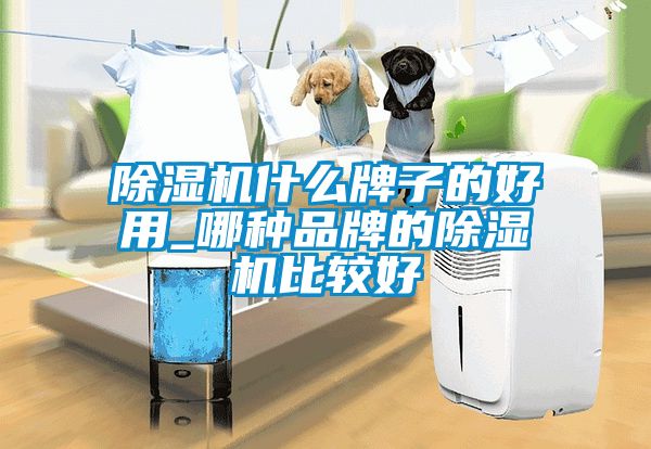 除濕機(jī)什么牌子的好用_哪種品牌的除濕機(jī)比較好