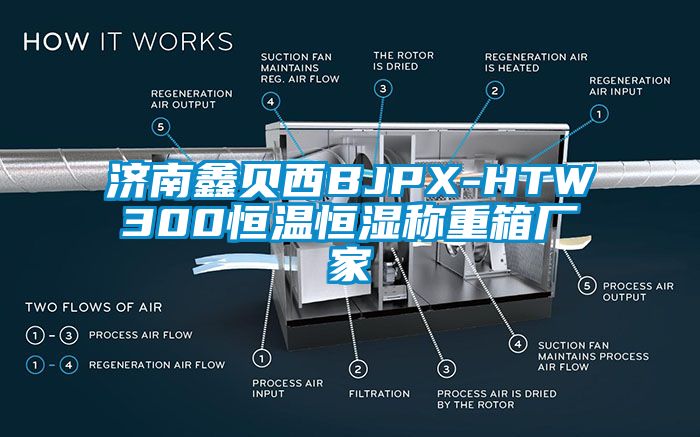 濟(jì)南鑫貝西BJPX-HTW300恒溫恒濕稱(chēng)重箱廠(chǎng)家