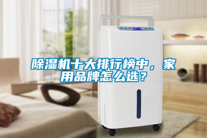 除濕機十大排行榜中，家用品牌怎么選？