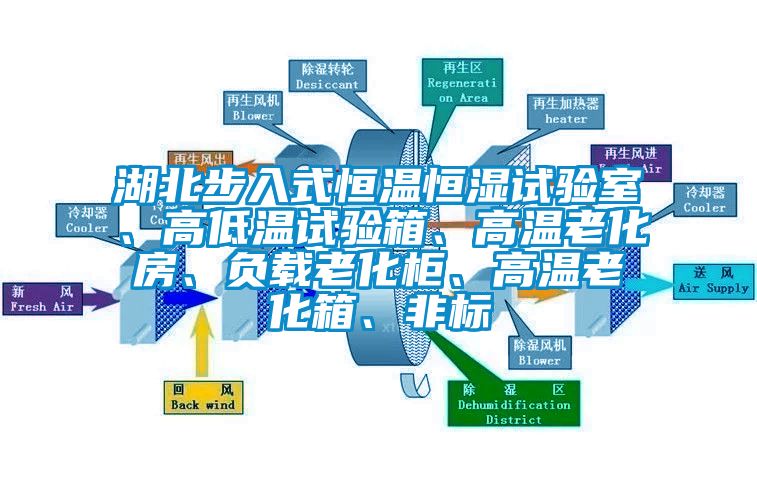 湖北步入式恒溫恒濕試驗(yàn)室、高低溫試驗(yàn)箱、高溫老化房、負(fù)載老化柜、高溫老化箱、非標(biāo)