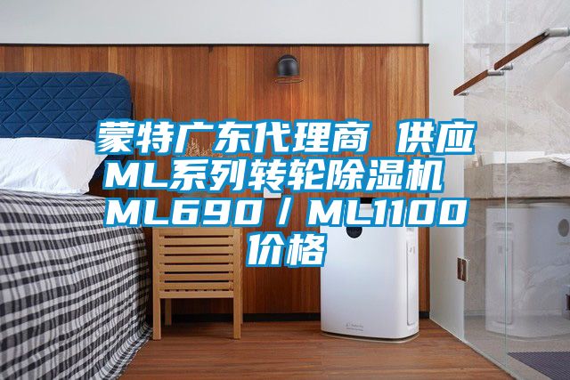 蒙特廣東代理商 供應(yīng)ML系列轉(zhuǎn)輪除濕機 ML690／ML1100價格