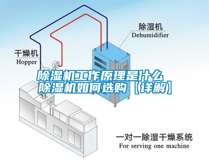 除濕機(jī)工作原理是什么 除濕機(jī)如何選購【詳解】