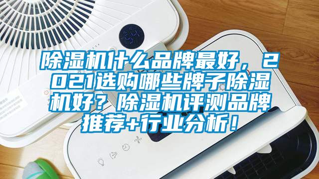 除濕機(jī)什么品牌最好，2021選購哪些牌子除濕機(jī)好？除濕機(jī)評測品牌推薦+行業(yè)分析！