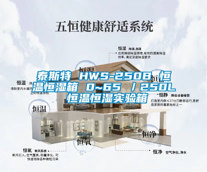 泰斯特 HWS-250B 恒溫恒濕箱 0~65℃／250L 恒溫恒濕實(shí)驗(yàn)箱