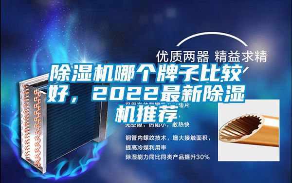 除濕機哪個牌子比較好，2022最新除濕機推薦