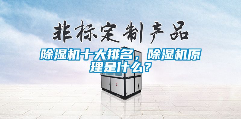 除濕機(jī)十大排名，除濕機(jī)原理是什么？