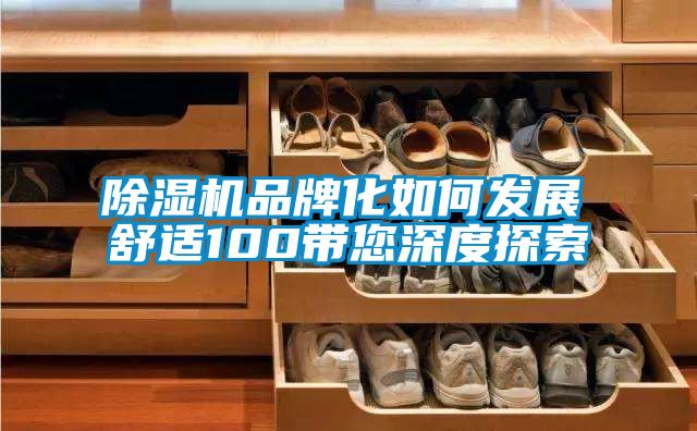 除濕機品牌化如何發(fā)展　　舒適100帶您深度探索