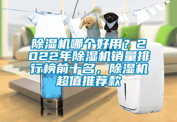 除濕機哪個好用？2022年除濕機銷量排行榜前十名，除濕機超值推薦款