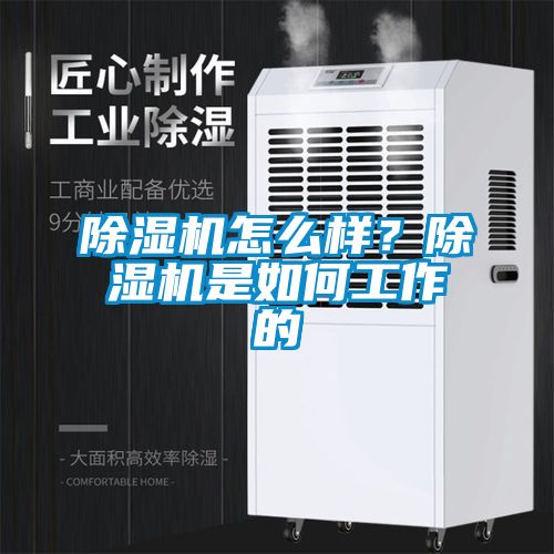 除濕機(jī)怎么樣？除濕機(jī)是如何工作的