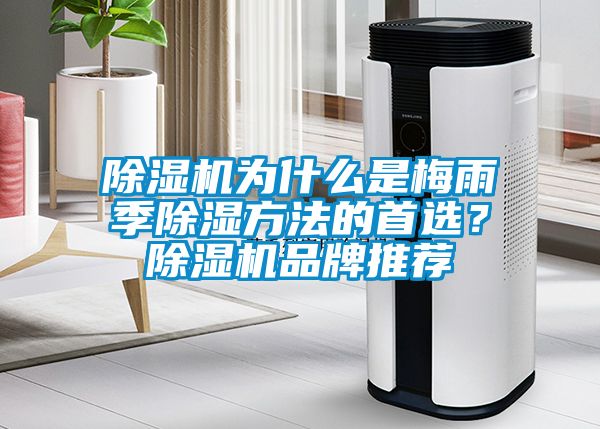 除濕機(jī)為什么是梅雨季除濕方法的首選？除濕機(jī)品牌推薦