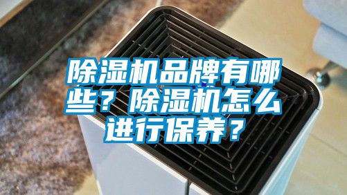 除濕機品牌有哪些？除濕機怎么進行保養(yǎng)？