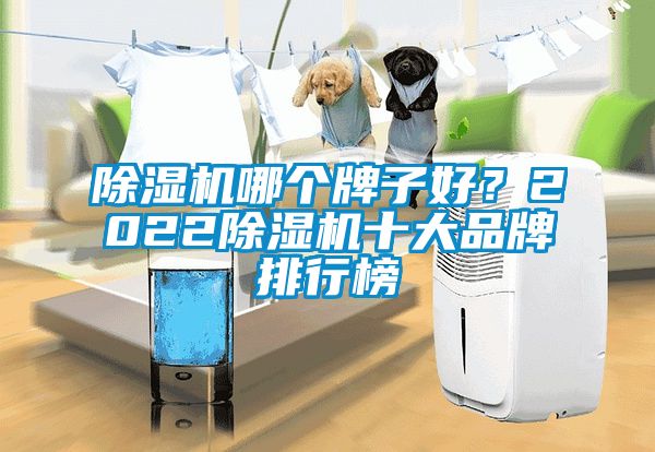 除濕機(jī)哪個(gè)牌子好？2022除濕機(jī)十大品牌排行榜