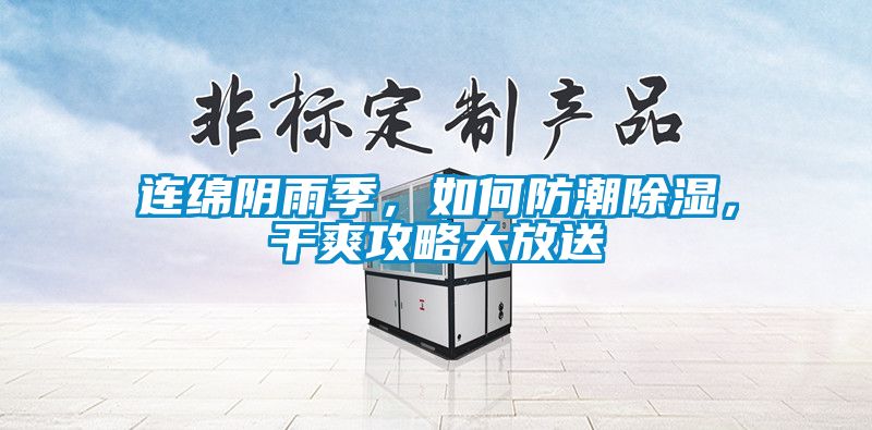 連綿陰雨季，如何防潮除濕，干爽攻略大放送