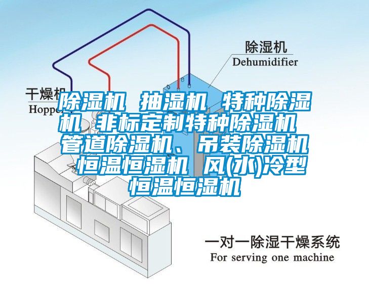 除濕機 抽濕機 特種除濕機 非標定制特種除濕機 管道除濕機、吊裝除濕機 恒溫恒濕機 風(水)冷型恒溫恒濕機