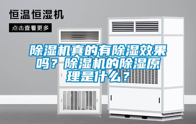 除濕機(jī)真的有除濕效果嗎？除濕機(jī)的除濕原理是什么？