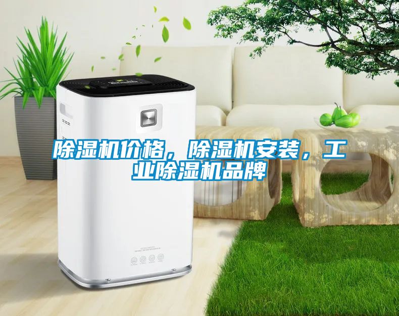 除濕機價格，除濕機安裝，工業(yè)除濕機品牌