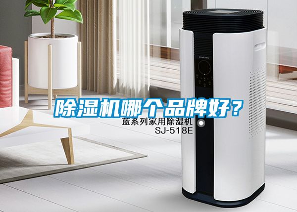 除濕機哪個品牌好？