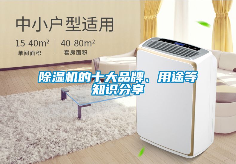 除濕機(jī)的十大品牌、用途等知識分享