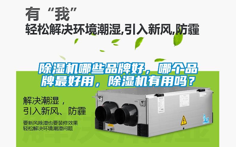 除濕機哪些品牌好，哪個品牌最好用，除濕機有用嗎？