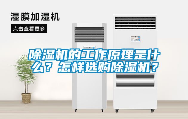 除濕機(jī)的工作原理是什么？怎樣選購除濕機(jī)？