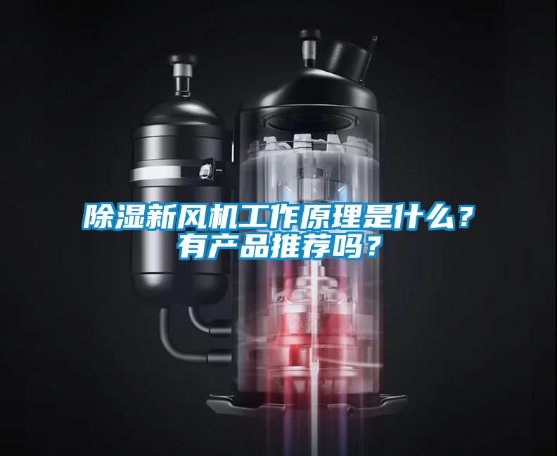 除濕新風機工作原理是什么？有產(chǎn)品推薦嗎？