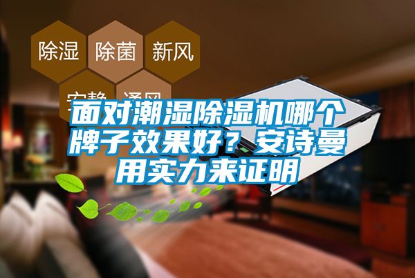 面對潮濕除濕機哪個牌子效果好？安詩曼用實力來證明