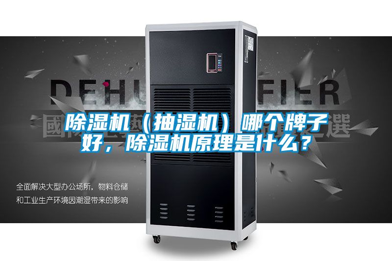 除濕機（抽濕機）哪個牌子好，除濕機原理是什么？