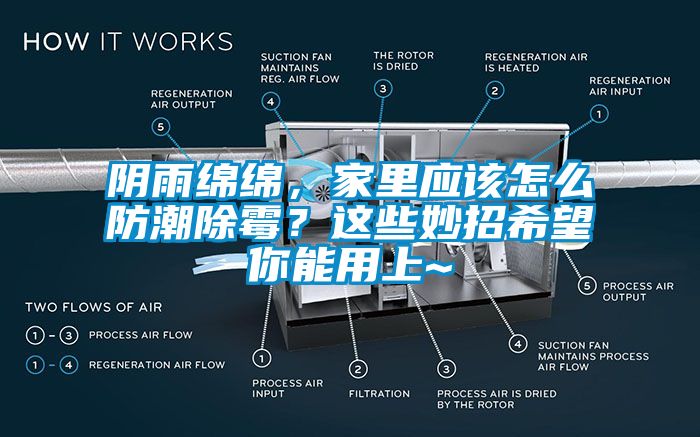 陰雨綿綿，家里應(yīng)該怎么防潮除霉？這些妙招希望你能用上~