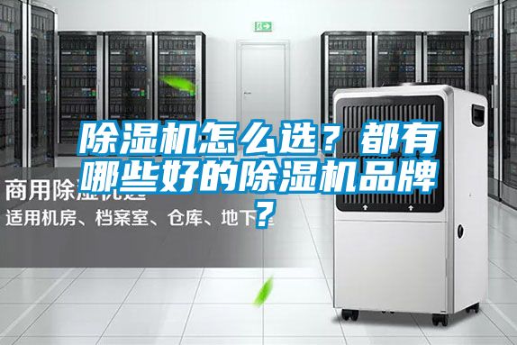 除濕機怎么選？都有哪些好的除濕機品牌？