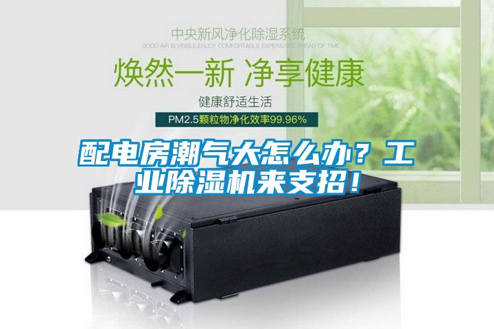 配電房潮氣大怎么辦？工業(yè)除濕機來支招！