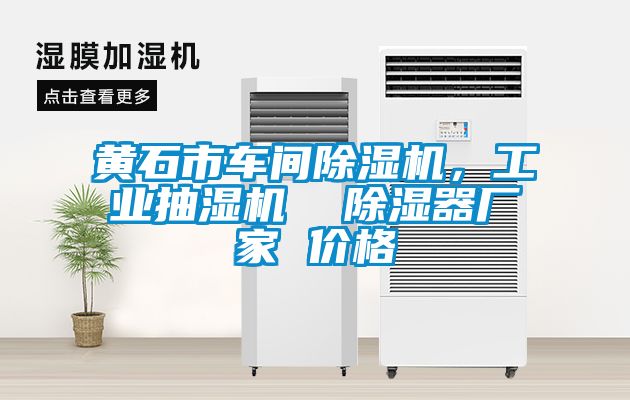 黃石市車間除濕機，工業(yè)抽濕機  除濕器廠家 價格