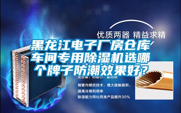 黑龍江電子廠房倉庫車間專用除濕機選哪個牌子防潮效果好？